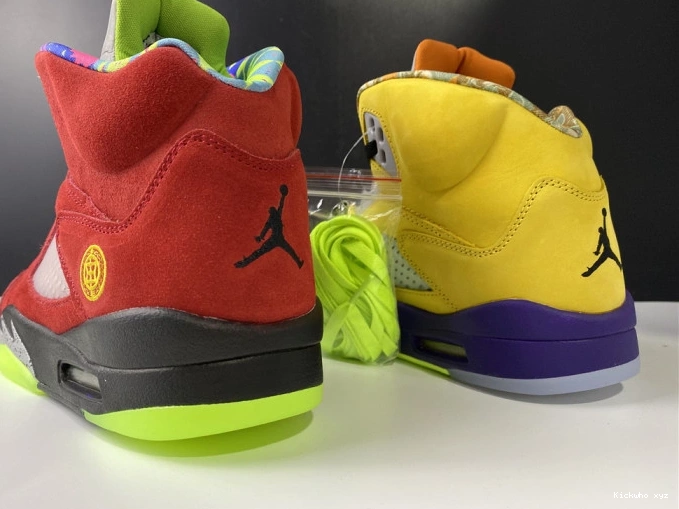 Jordan What The Retro CZ5725-700 5 0816